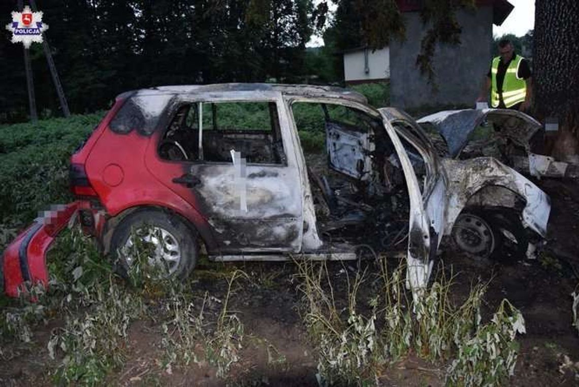 Wjechał w drzewo, auto spłonęło. Kierowca miał 2,5 promila (zdjęcia)