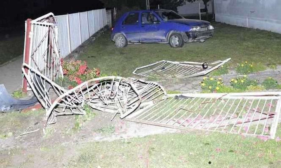 Wjechała fordem w ogrodzenie. Przez psa?