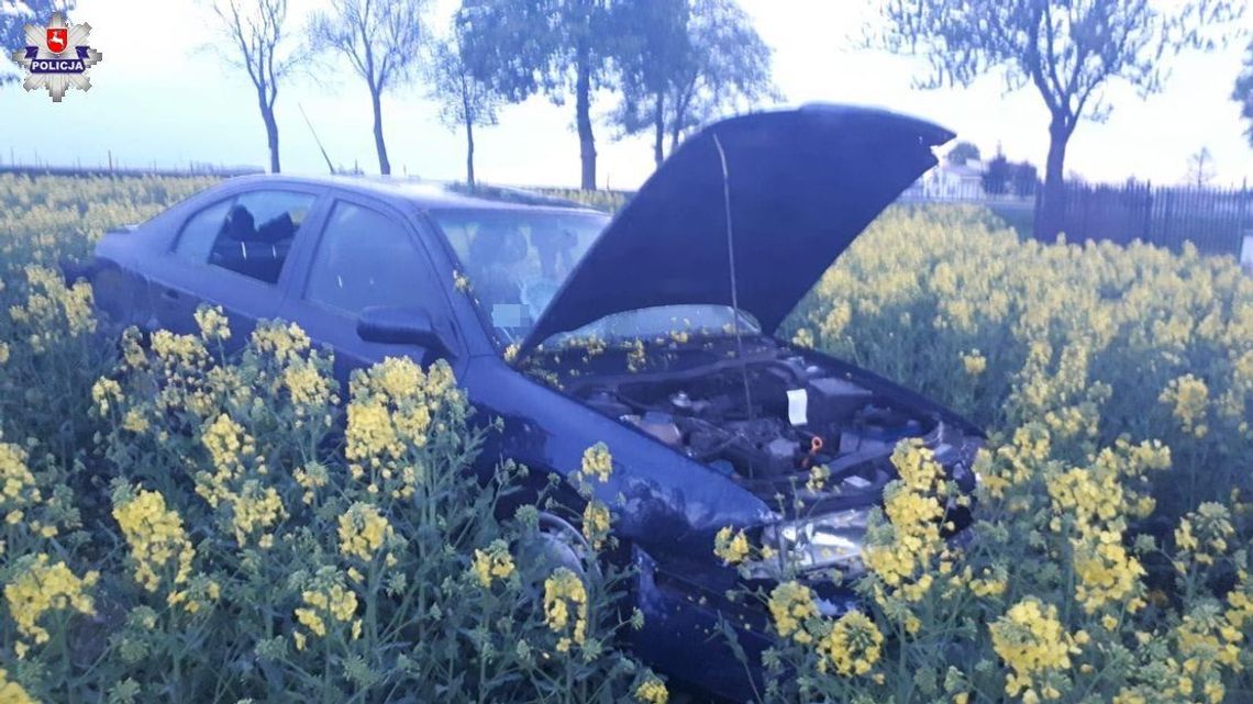 Wjechała w ogrodzenie, a potem wpadła na pole rzepaku. Miała blisko 0,5 promila