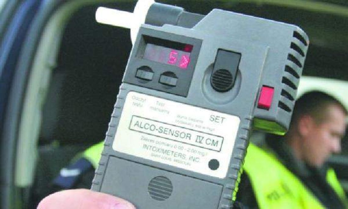 Wjechali w drzewo, uciekli na plantację leszczyny