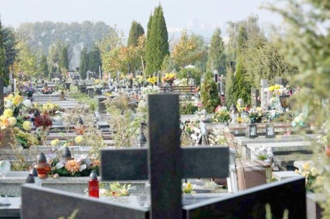 Wjedziesz na cmentarz autem jak dasz kilka złotych strażnikowi Wjedziesz na cmentarz autem jak dasz kilka złotych strażnikowi