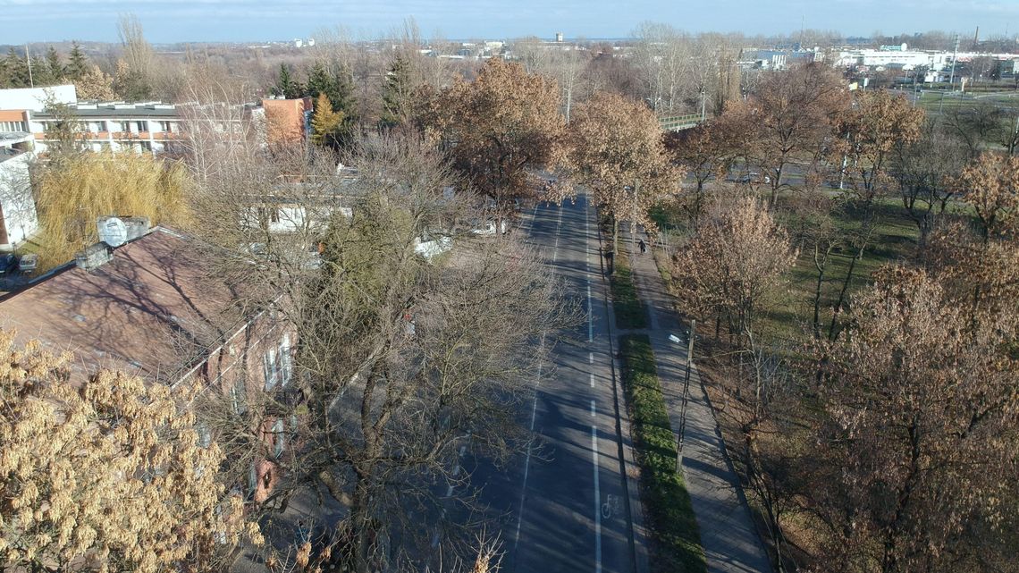 Wkrótce ruszy przebudowa ul. Kalinowszczyzna. 108 drzew do wycięcia