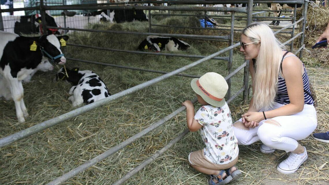Wkrótce wystawa w Sitnie. Można się zgłaszać