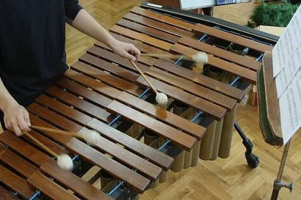 Włodawa stawia na muzyczne talenty. Powstanie szkoła muzyczna Włodawa stawia na muzyczne talenty. Powstanie szkoła muzyczna