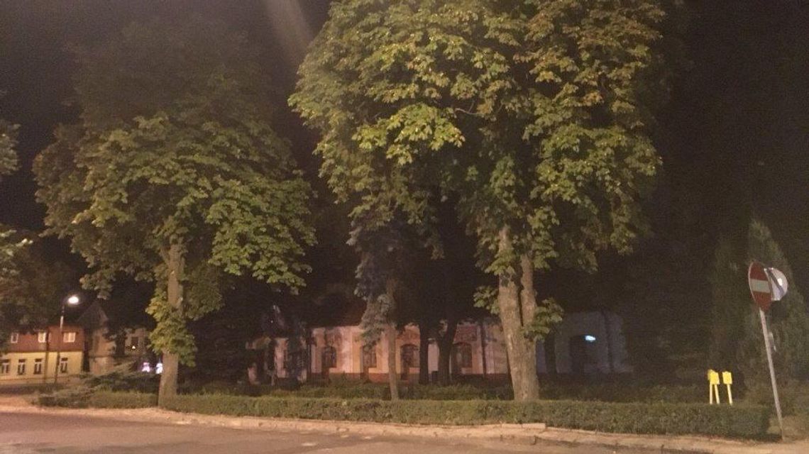 Włodawa: Większość drzew i trawników uda się uratować?