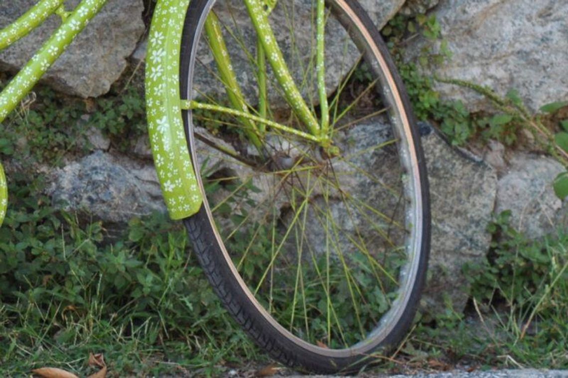 Włodawa: Znalezione w lesie rowery czekają na właścicieli 