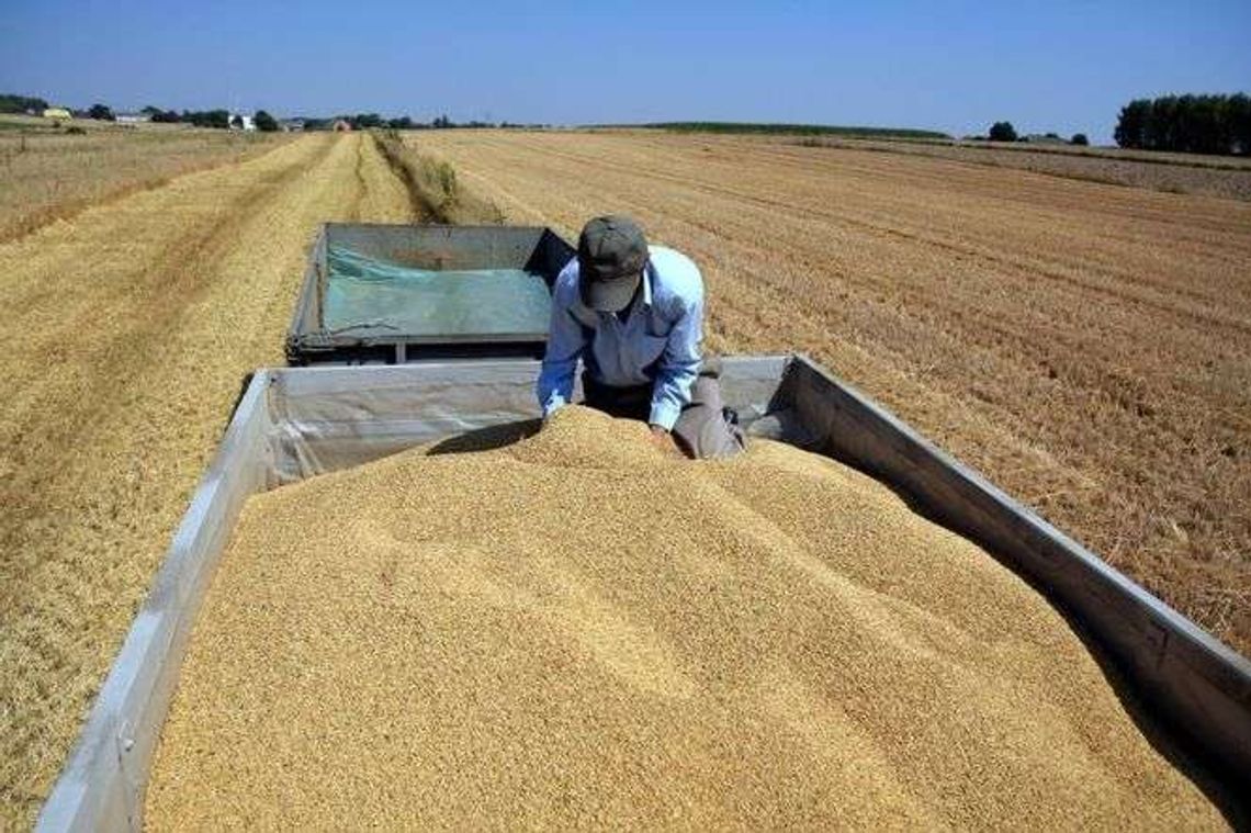 Wnioski o dopłaty dla rolników tylko elektronicznie Wnioski o dopłaty dla rolników tylko elektronicznie