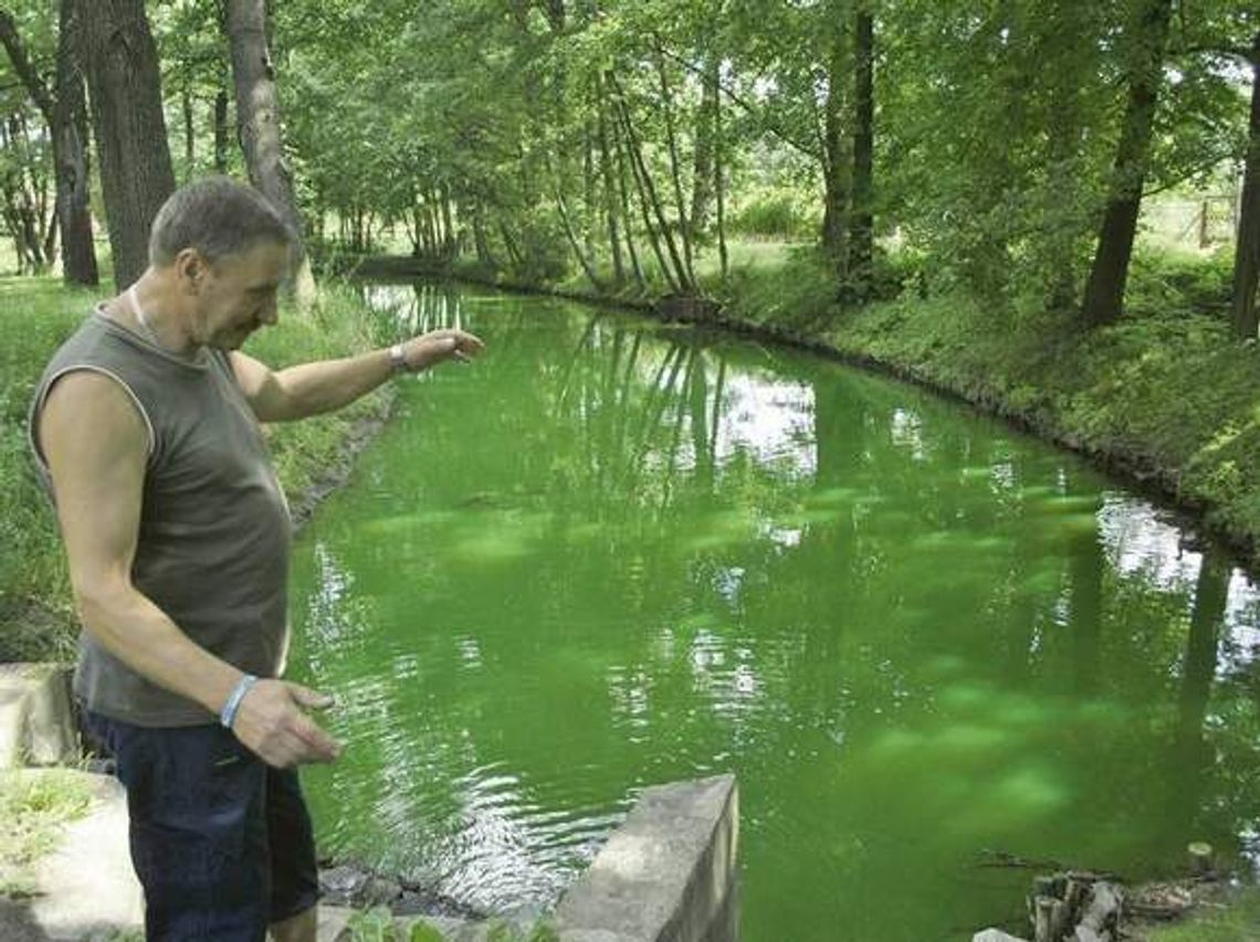 Woda pełna chemikaliów płynęła w Zielonej Górze
