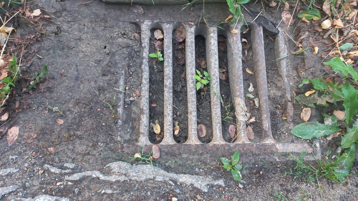 Woda płynie po ulicy, bo nie ma gdzie 