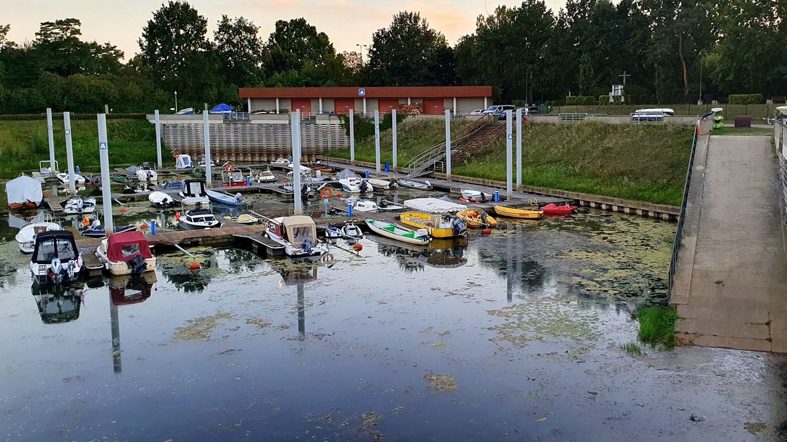 Woda w porcie zielona, kanał zamulony. Potrzeba zmian Woda w porcie zielona, kanał zamulony. Potrzeba zmian