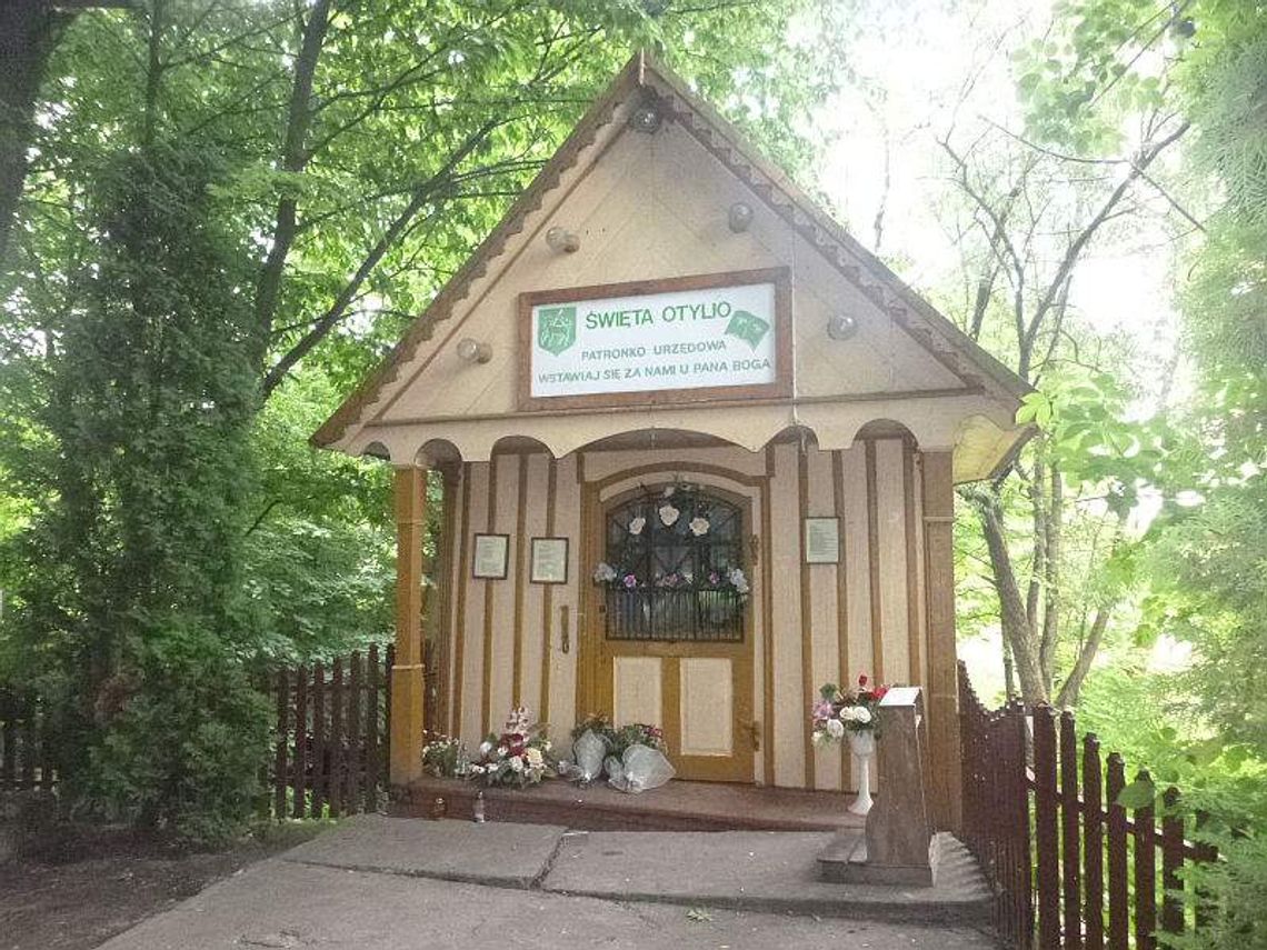 Woda ze źródełka w Urzędowie z bakteriami coli. Po wypiciu możliwe nudności Woda ze źródełka w Urzędowie z bakteriami coli. Po wypiciu możliwe nudności