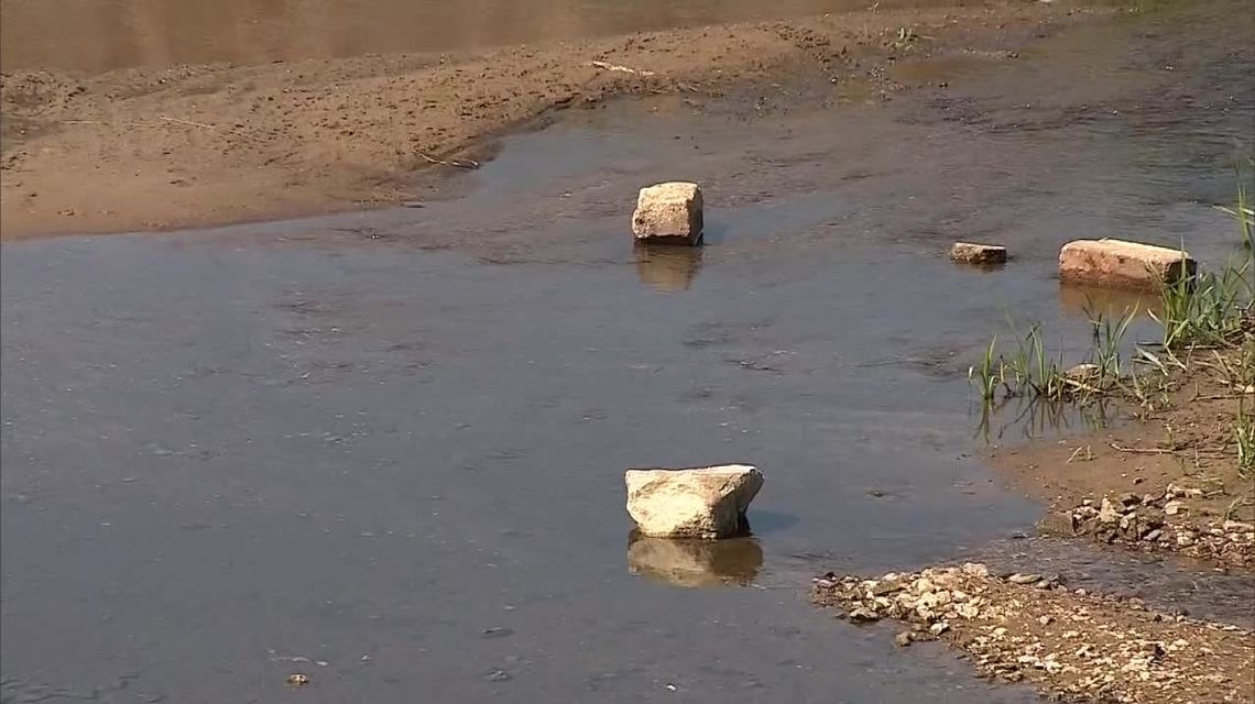 „Wodę musimy na wszelkie sposoby oszczędzać”. Susza w Polsce, problem będzie się nasilał