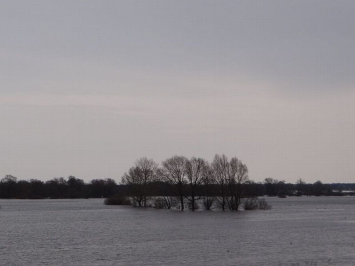 Wody coraz wiecej. Alarm przeciwpowodziowy na Wieprzu i Bugu Wody coraz wiecej. Alarm przeciwpowodziowy na Wieprzu i Bugu