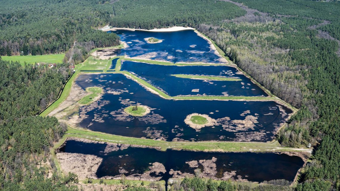 Wody w Stawach Echo nie brakuje. Będzie kąpielisko, można zarobić