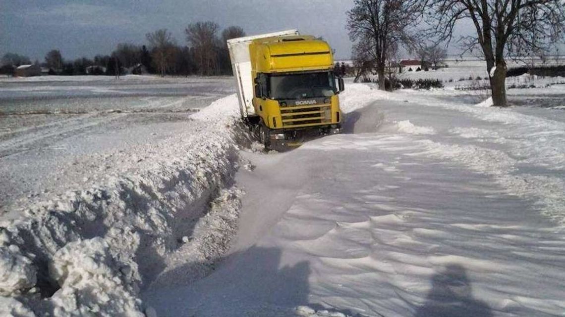 Wojewoda lubelski zwołuje sztab kryzysowy. Opracuje plan działania na „Bestię ze Wschodu”