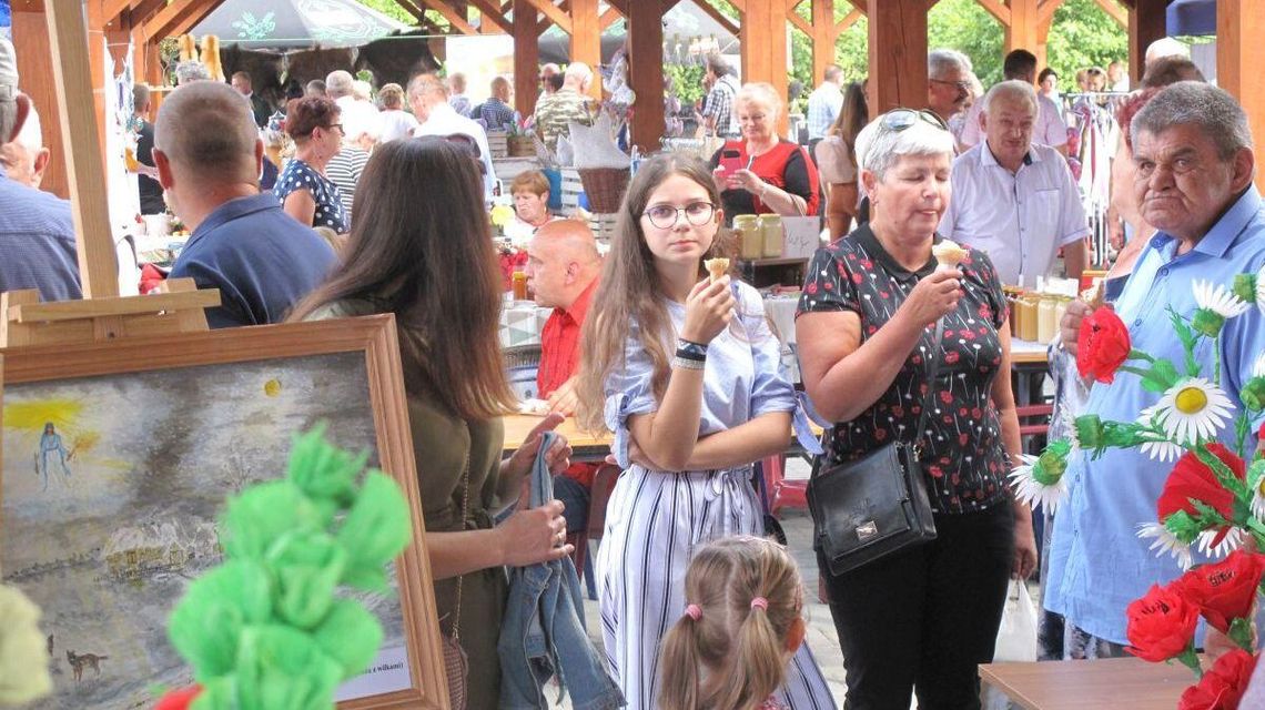 Wojewódzkie Święto Ziół w Fajsławicach [zdjęcia]