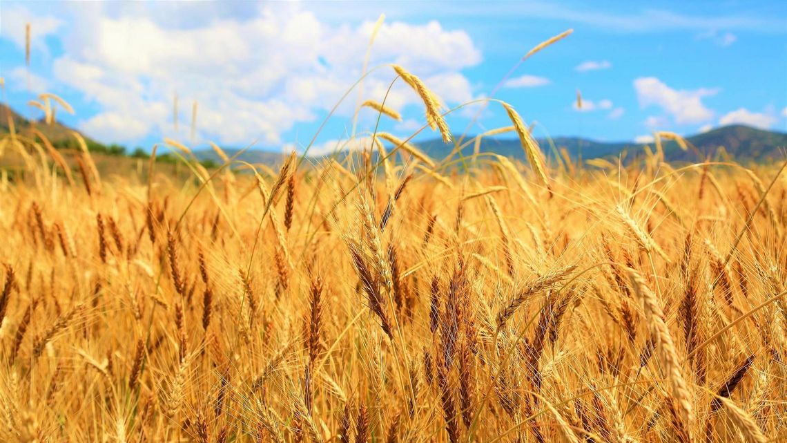 Wojna groźna dla klimatu Wojna groźna dla klimatu