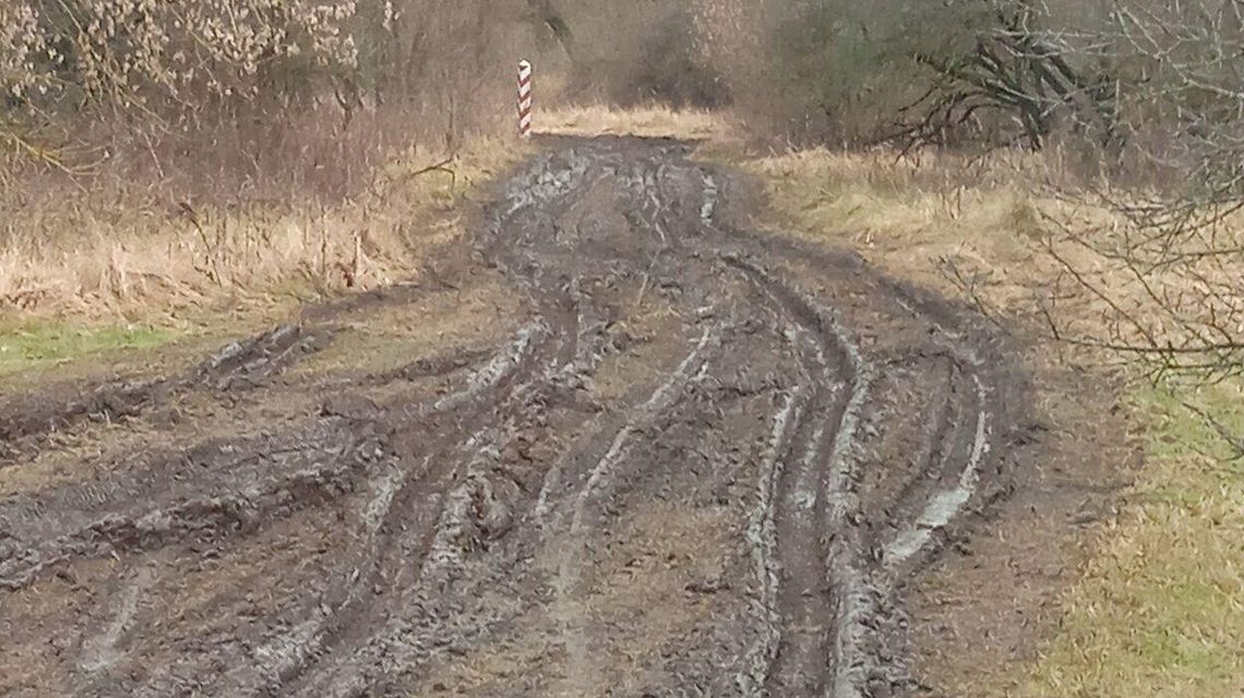 Wojsko rozjeżdża nadbużańskie drogi i łąki. Mieszkańcy się skarżą, a kto to naprawi? [zdjęcia]
