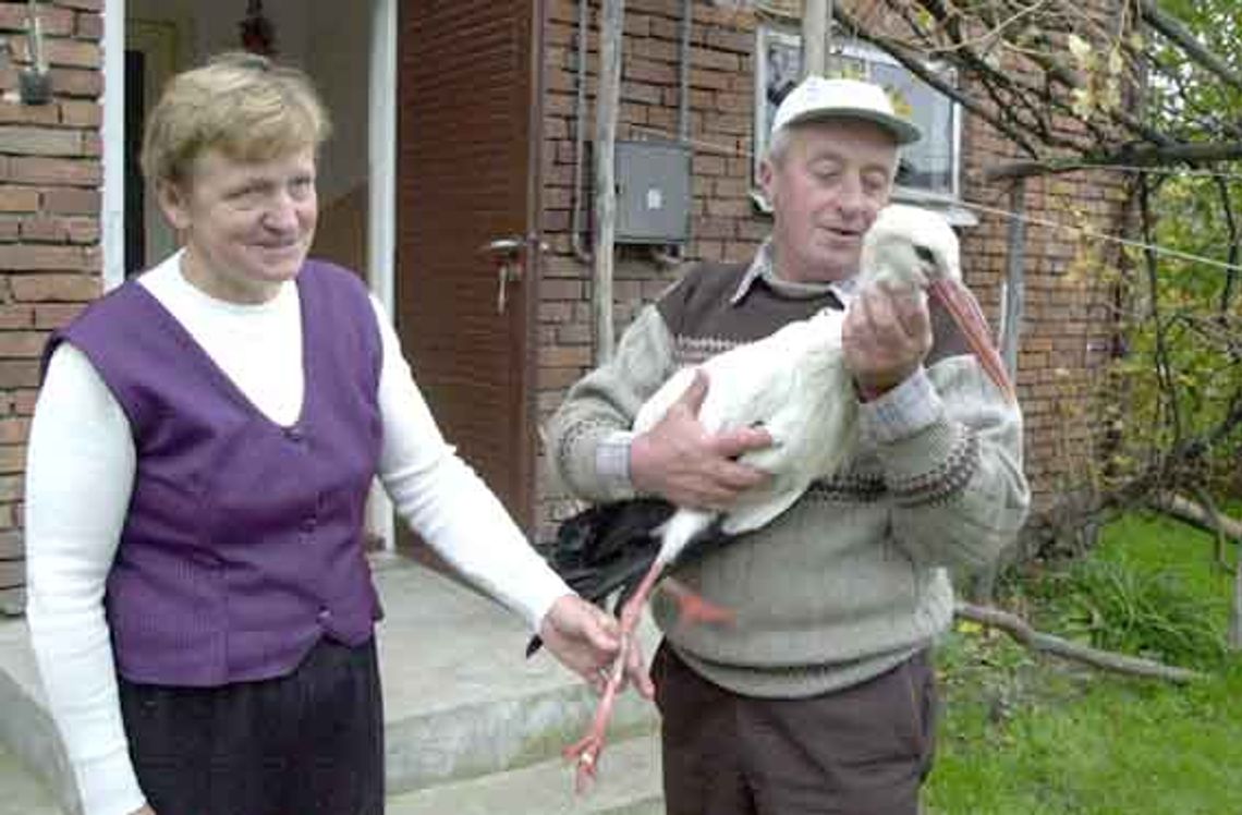 Wojtek, który nie lubi latać