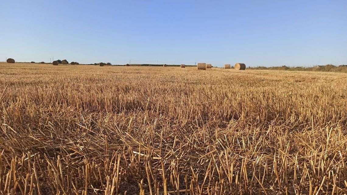 Wójtowie muszą zwrócić pieniądze za spis rolny, ale tylko te, które mieli wypłacić sobie