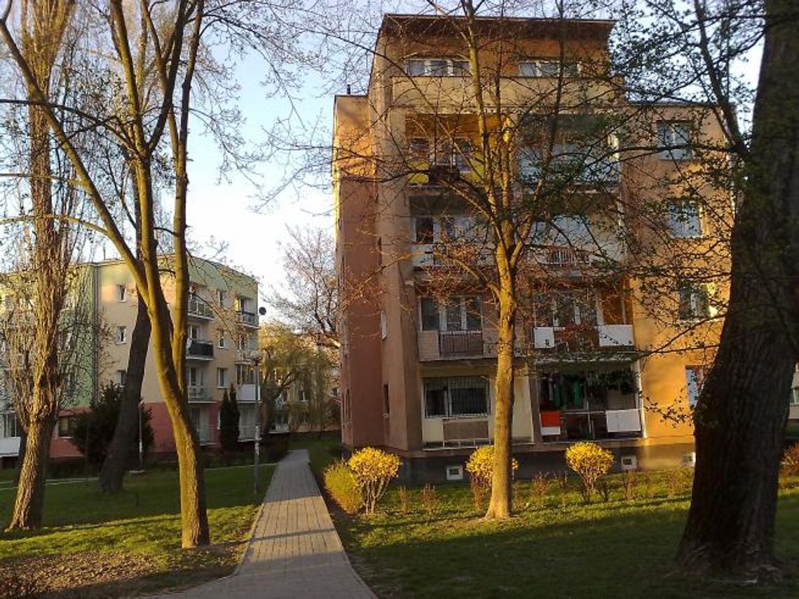 Wolimy wynajmować zamiast kupować mieszkania