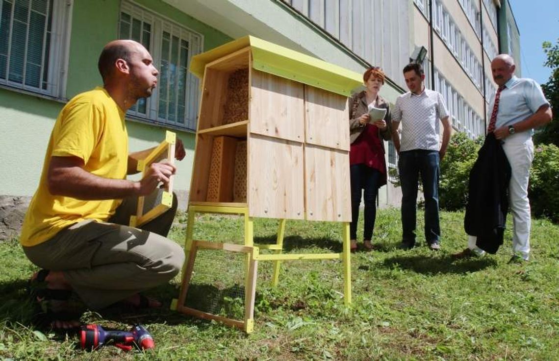 Wolne pokoje dla pszczół i trzmieli. Hotele stanęły w Lublinie