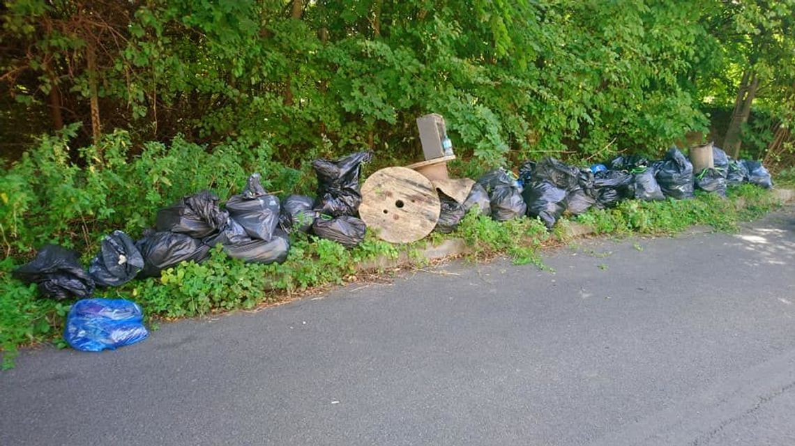 World Cleanup Day 2020. W ramach święta posprzątali teren wokół Ogrodu Botanicznego [zdjęcia]