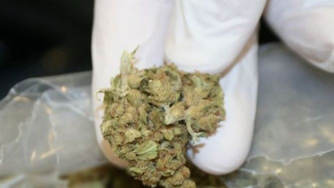 Wpadka mieszkańca Łęcznej. Naczelnik wyczuł specyficzną woń