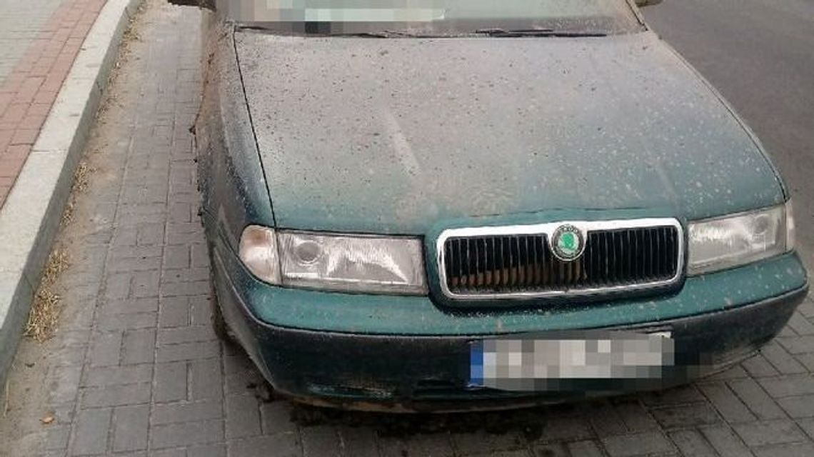 Wpadła na jeździe po pijanemu. Alkohol ukradła dzień wcześniej