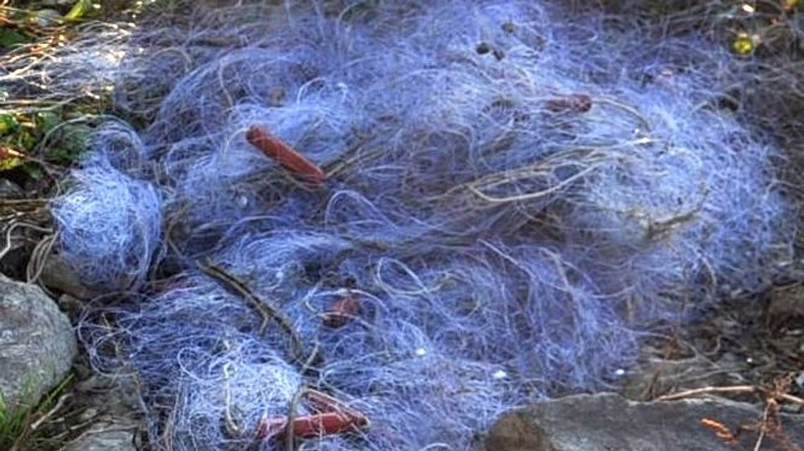 Wpadli podczas rozstawiania sieci na Wiśle