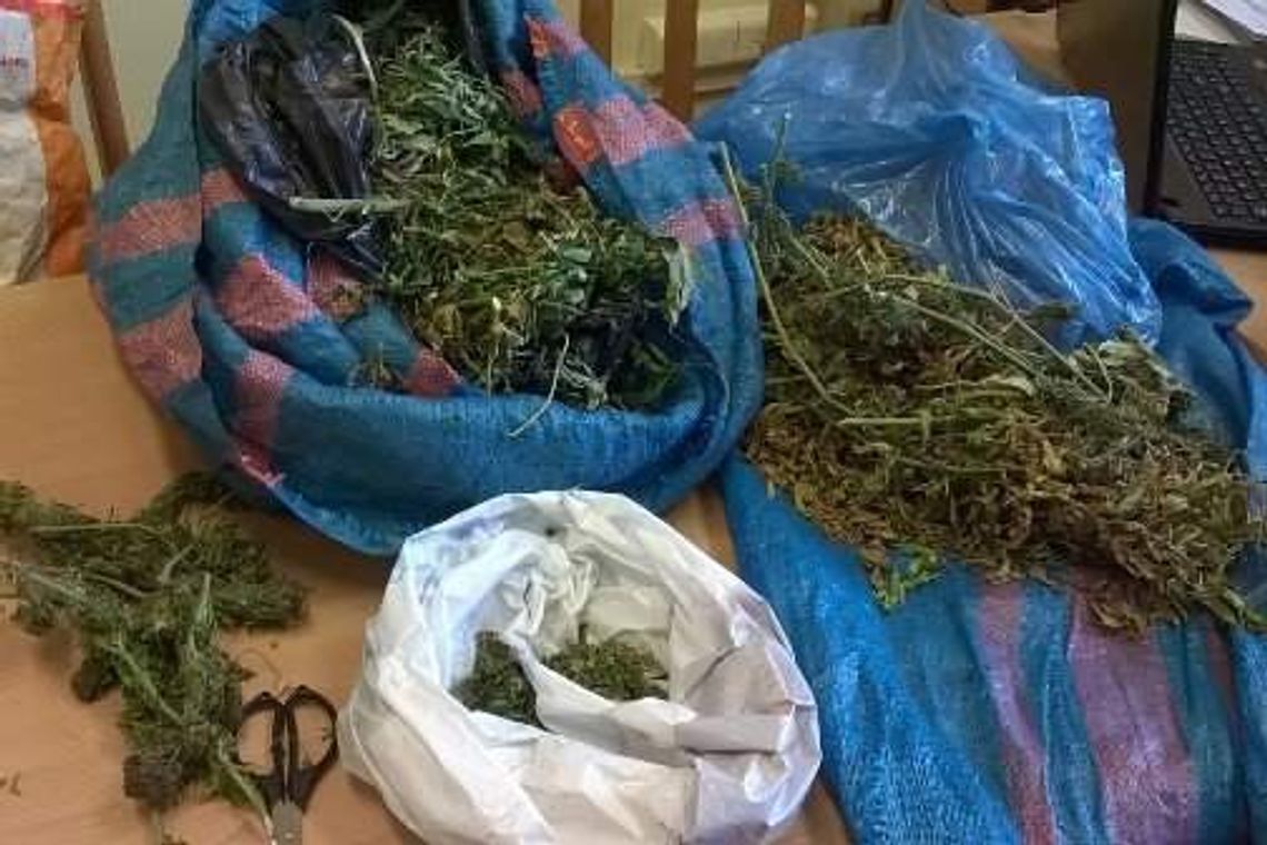 Wpadli z kilogramem marihuany Wpadli z kilogramem marihuany