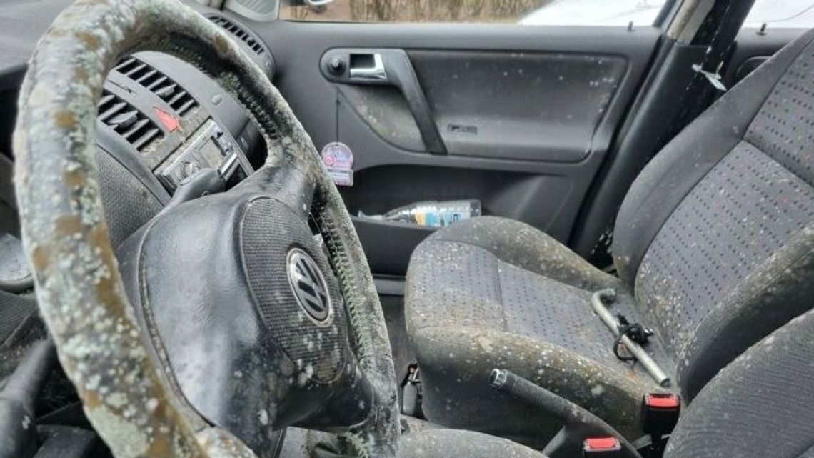 Wraki, uszkodzone chodniki, usterki. Puławska aplikacja kończy rok Wraki, uszkodzone chodniki, usterki. Puławska aplikacja kończy rok