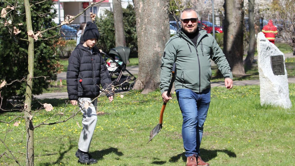 Wrastaj w Hrubieszów. Ponad pół setki nowych drzew w parku