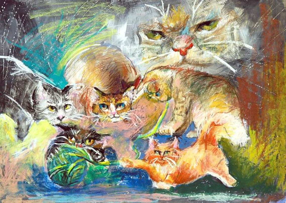 Wręczą nagrody  za \"Kocie sprawy”