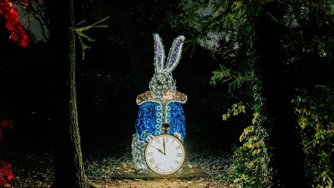 Wskocz do króliczej nory i przenieś się do ogrodu czarów