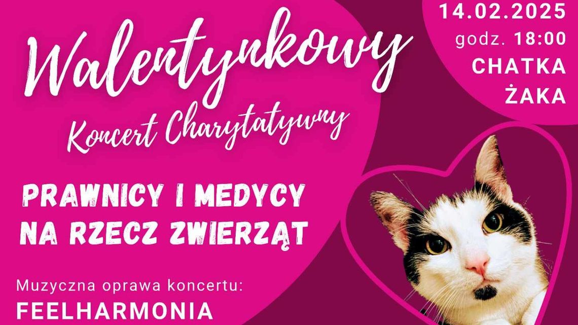 Wsparcie zwierzaków podczas walentynkowego koncertu Wsparcie zwierzaków podczas walentynkowego koncertu