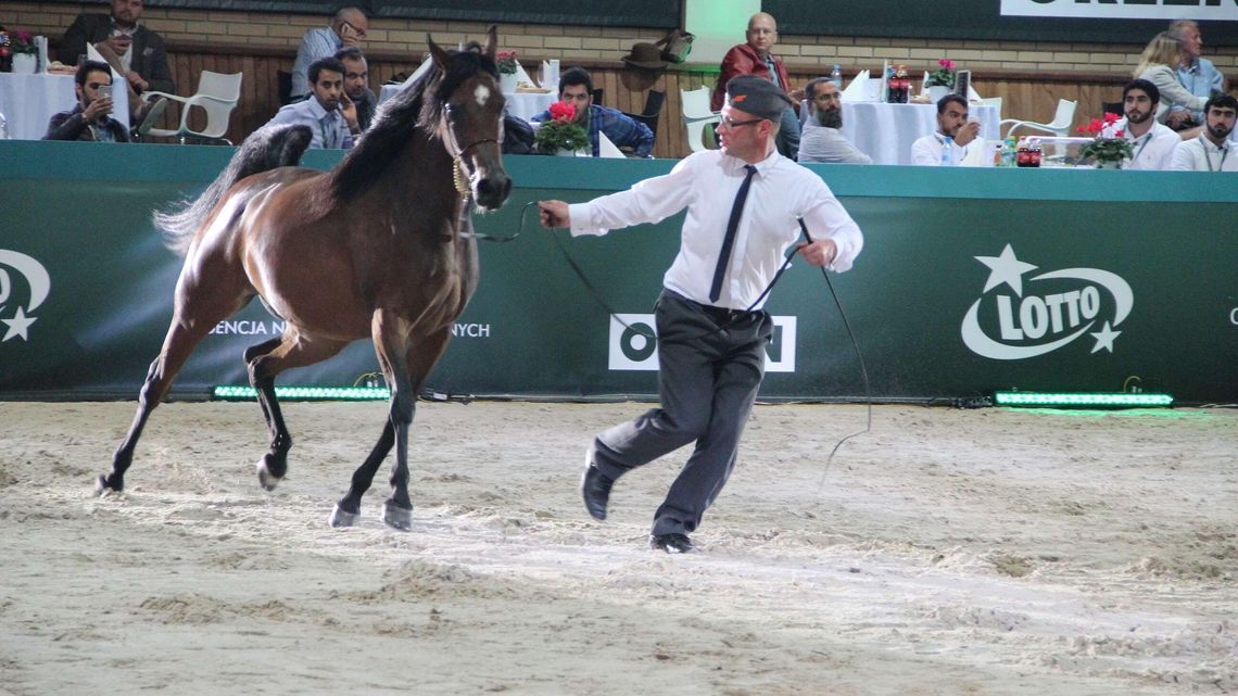 Wstęp na aukcję Pride of Poland dla osób z grubym portfelem. Wysokie ceny zaproszeń Wstęp na aukcję Pride of Poland dla osób z grubym portfelem. Wysokie ceny zaproszeń