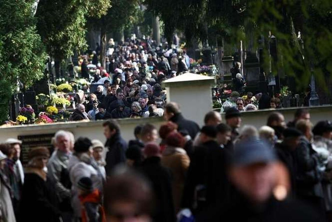 Wszystkich Świętych 2015 w Lublinie: Zmiana organizacji ruchu przy cmentarzach Wszystkich Świętych 2015 w Lublinie: Zmiana organizacji ruchu przy cmentarzach