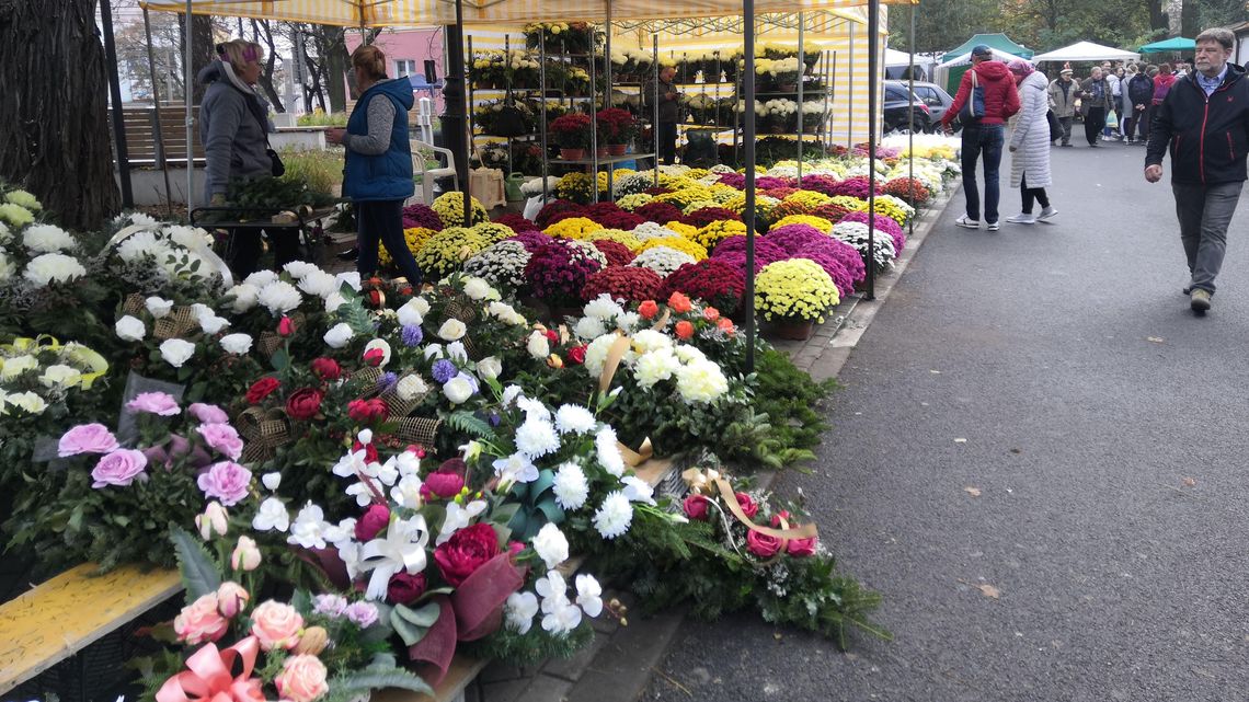 Wszystkich Świętych 2019. Jakie są ceny w tym roku, co kupujemy najchętniej? Wszystkich Świętych 2019. Jakie są ceny w tym roku, co kupujemy najchętniej?
