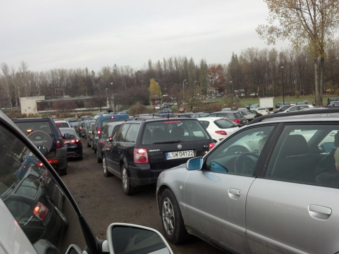 Wszystkich Świętych w Lublinie i regionie (relacja)