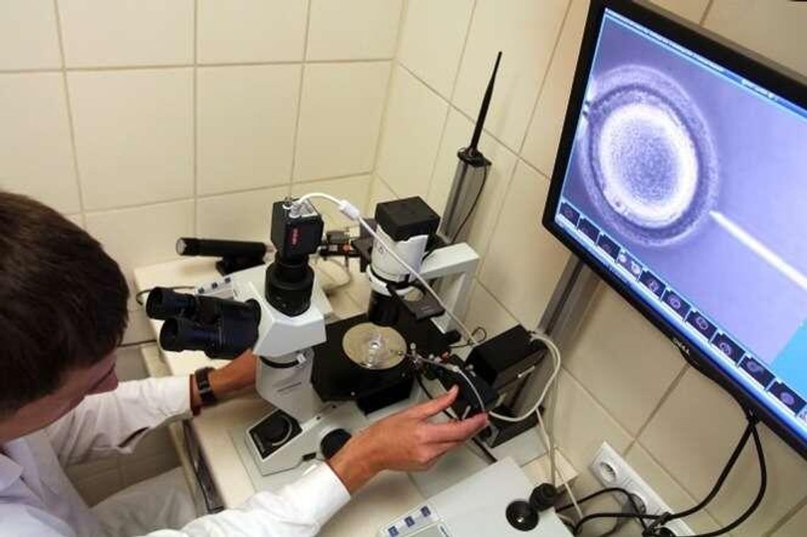 Wszystkie kliniki in vitro wstrzymały leczenie. Czekają na certyfikaty Wszystkie kliniki in vitro wstrzymały leczenie. Czekają na certyfikaty
