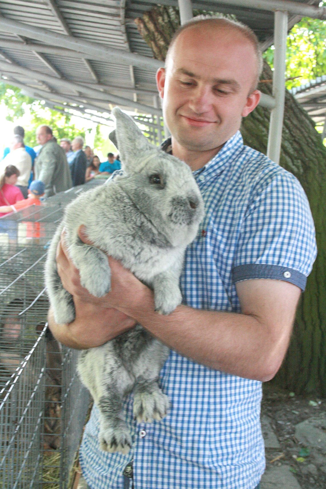 Wszystkie króliki to czyściochy