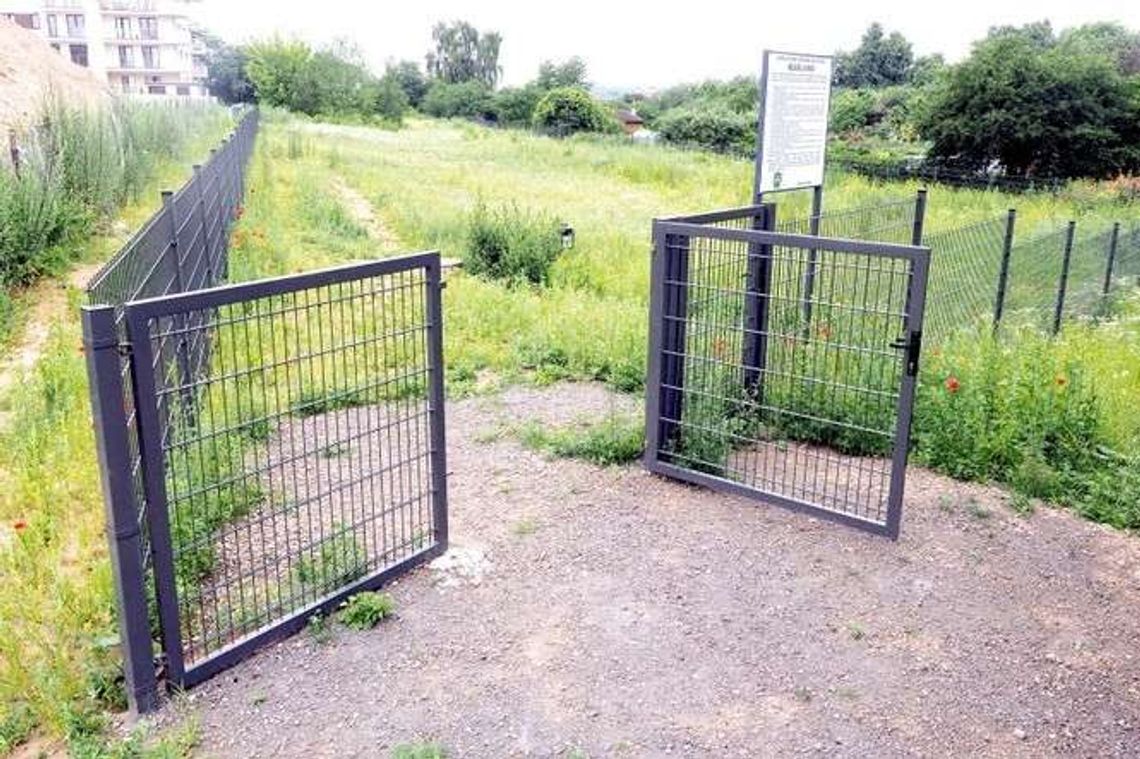 Wybieg dla psów przy ul. Koncertowej dopiero jesienią Wybieg dla psów przy ul. Koncertowej dopiero jesienią