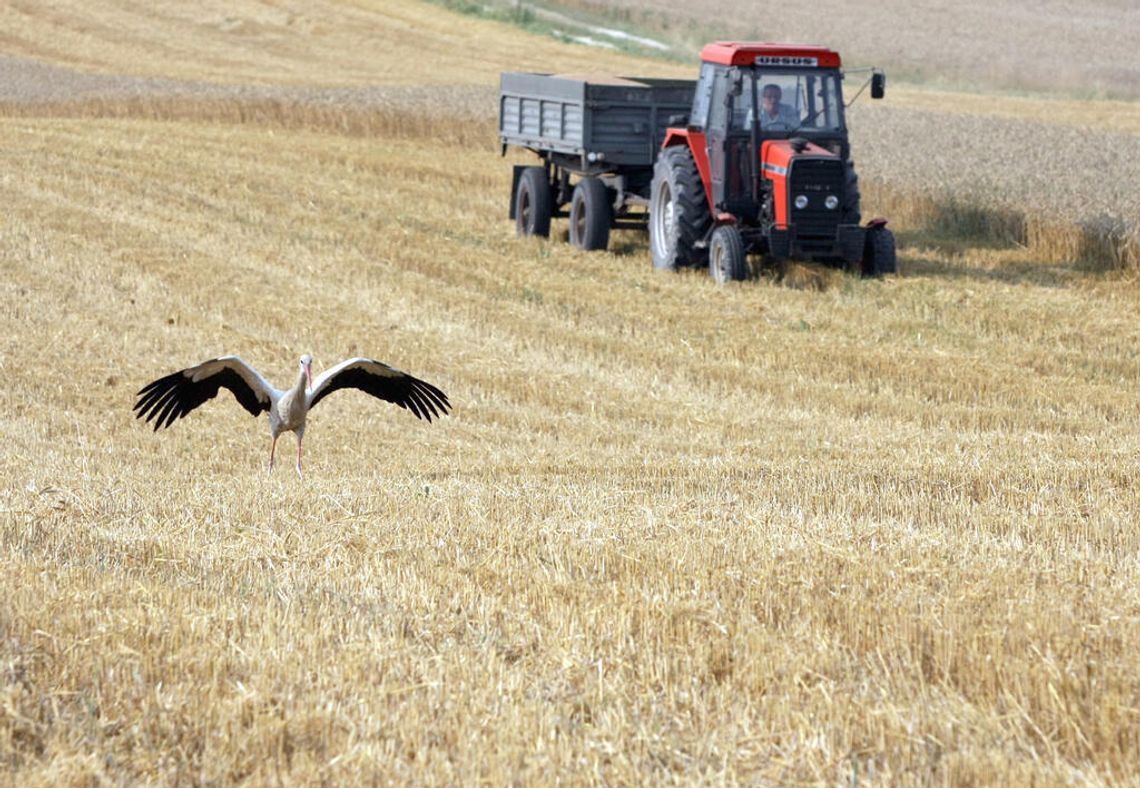 Wybieramy Rolnika Roku 2013. Na zwycięzcę czeka 10 tysięcy złotych
