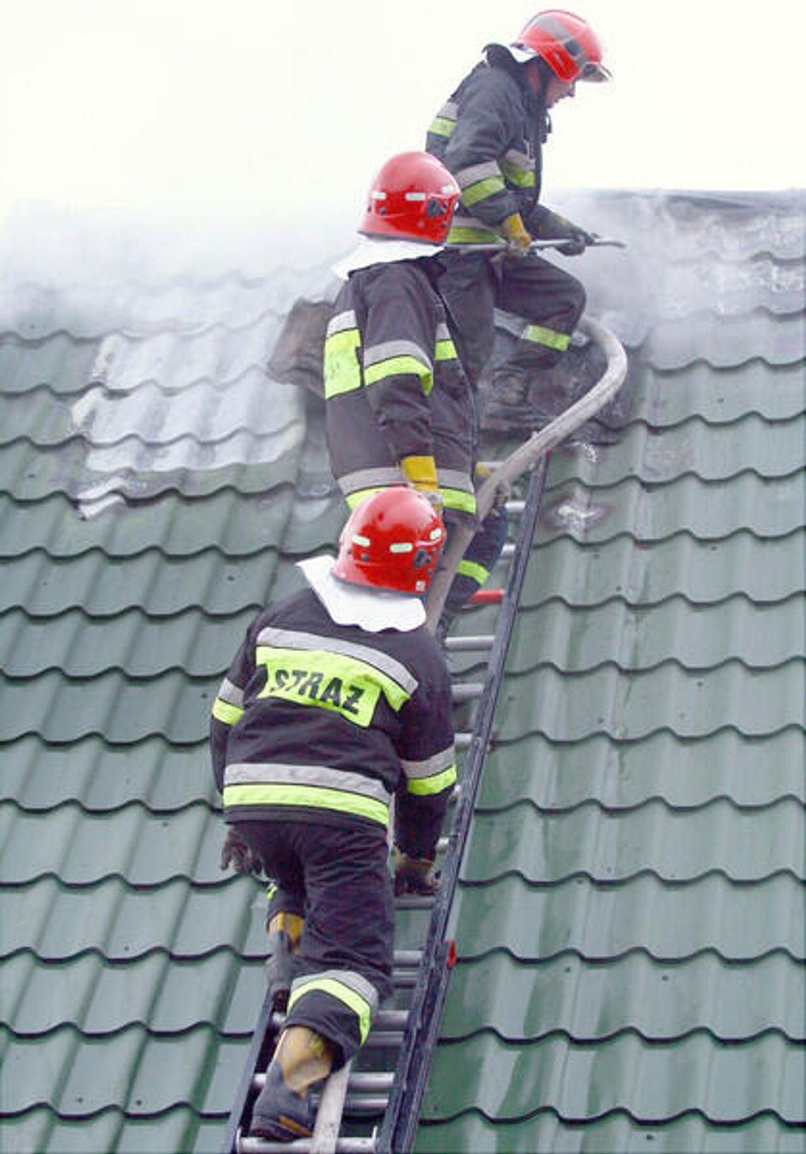 Wybieramy Strażaka 2012. Głosowanie tylko do godz. 15 Wybieramy Strażaka 2012. Głosowanie tylko do godz. 15