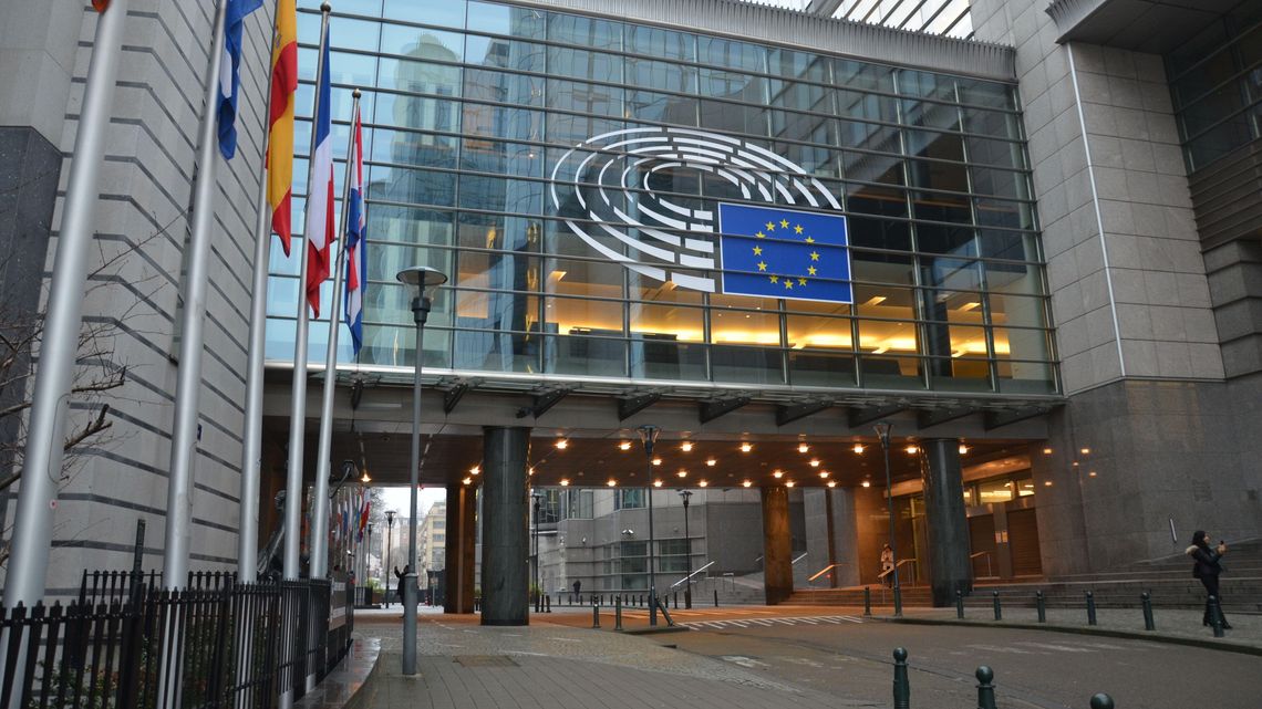 Wybory do Parlamentu Europejskiego: Mucha, Hetman, Mazurek. Kto pojedzie do Brukseli?