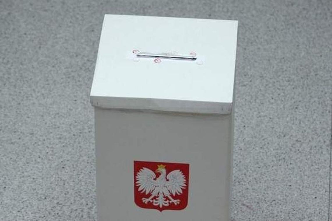 Wybory do rad dzielnic w Lublinie (wyniki)