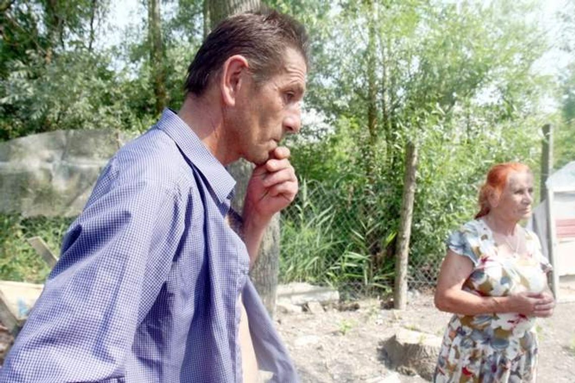 Wyciął topole bo ratował matkę: Urzędnicy wrócą do sprawy Wyciął topole bo ratował matkę: Urzędnicy wrócą do sprawy