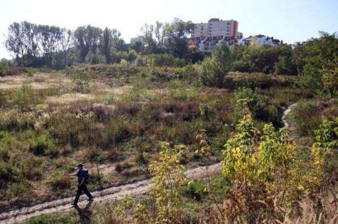 Wycięli las, teraz mają zapłacić za drzewa. Powstanie park Wycięli las, teraz mają zapłacić za drzewa. Powstanie park