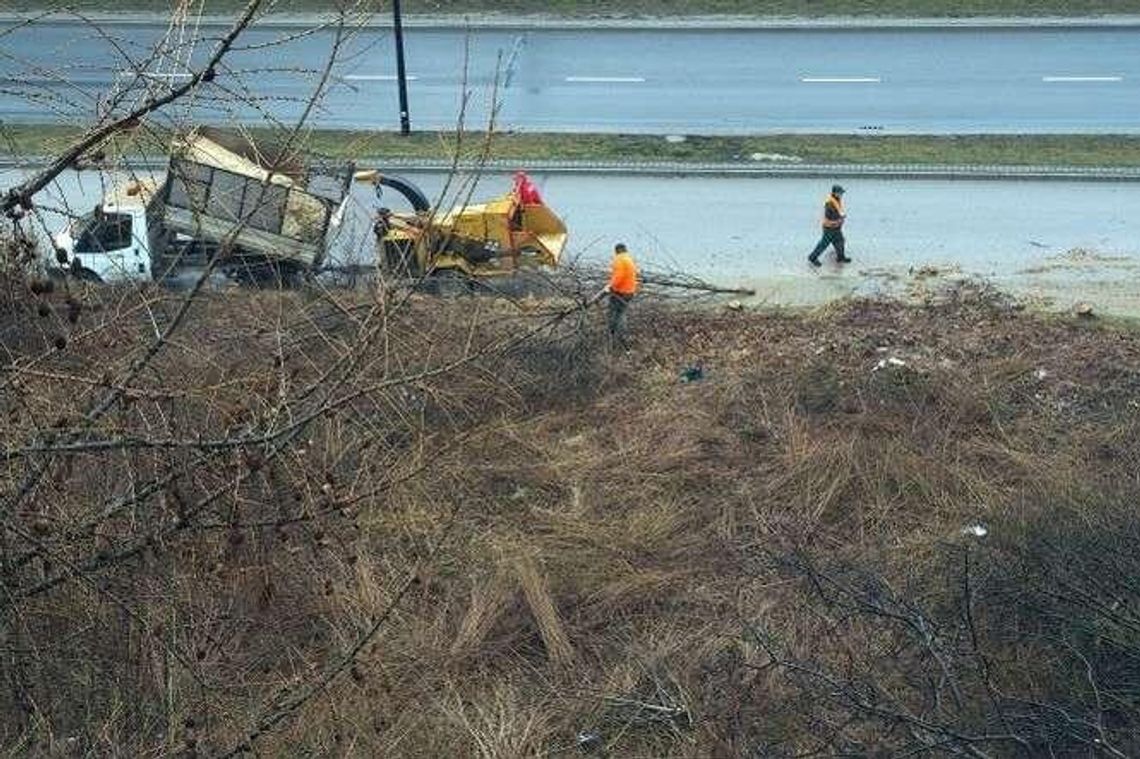 Wycięli ponad 50 drzew, postawią tu budynek. Mieszkańcy oburzeni: "To była enklawa zieleni!"